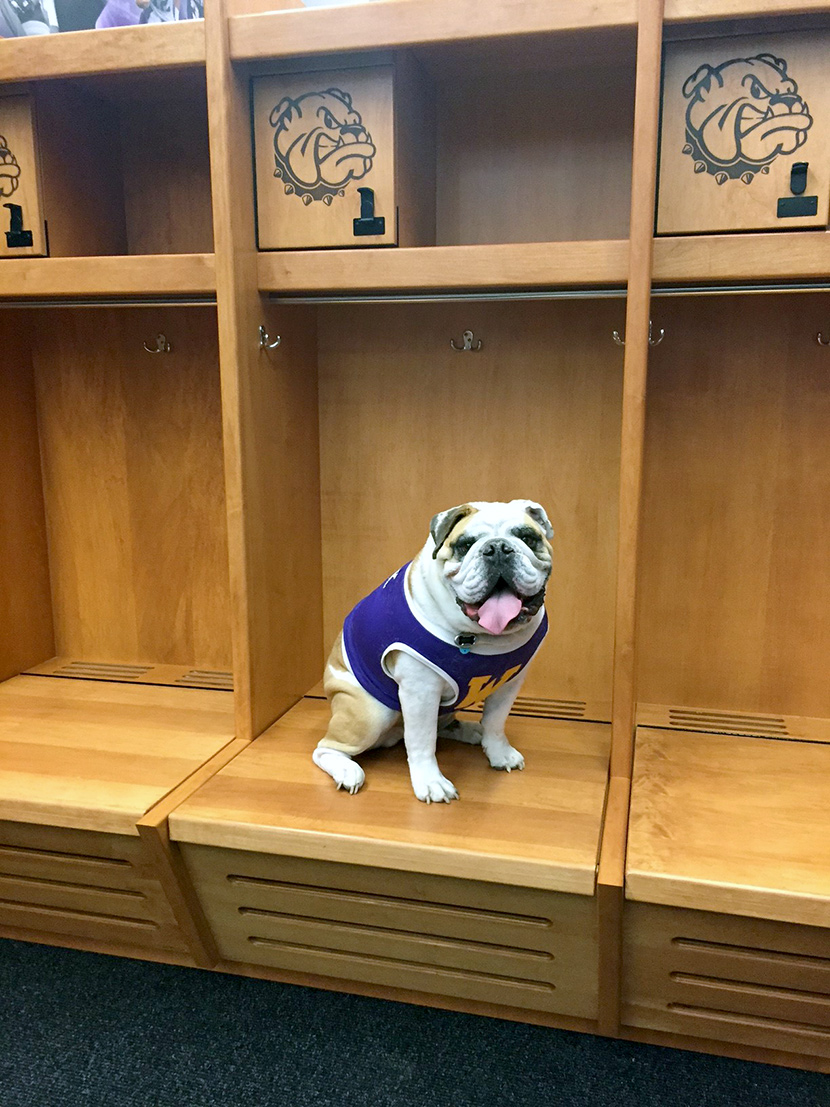 Wood Lockers